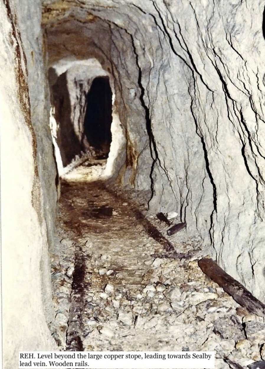 Goldscope Photo Richard Hewer